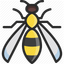 Hr. Hveps